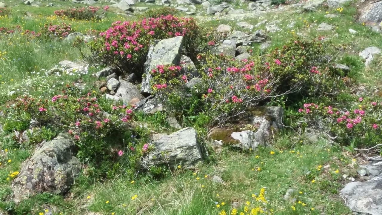 شقة هاوس إليزابيث ميترسل المظهر الخارجي الصورة